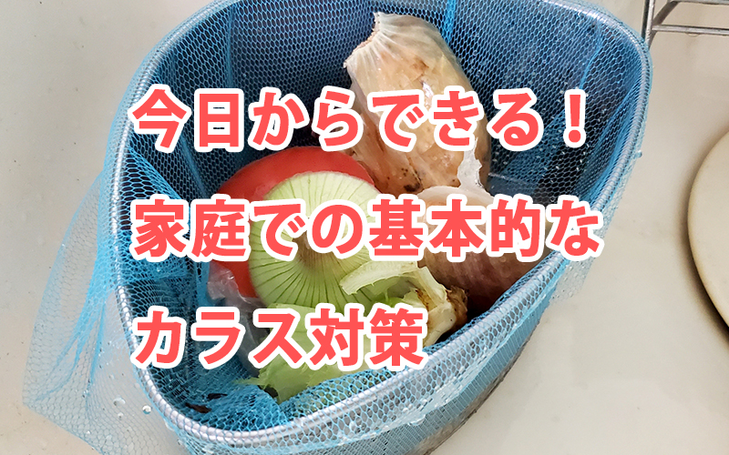 今日からできる!家庭での基本的なカラス対策