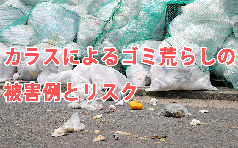 カラスによるゴミ荒らしの被害例とリスク